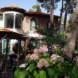Cyprus Traditional Mountain Hotel Semiramis Hotel Platres