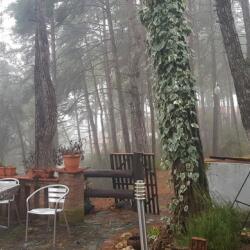 Semiramis Hotel Platres In Troodos Mountains